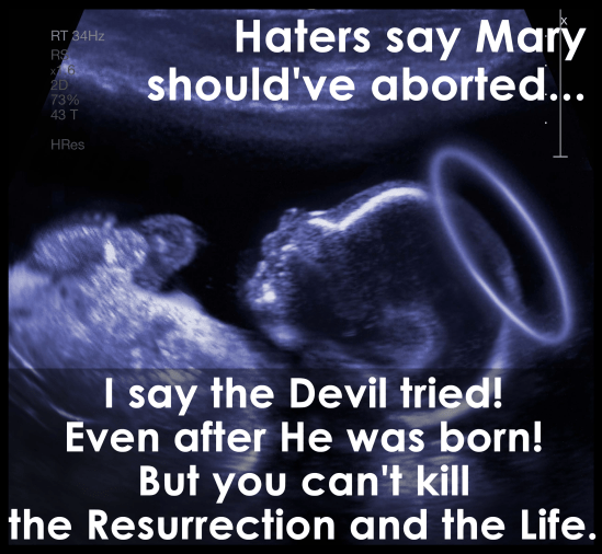 I just had to put this meme together while reading some St. Francis de Sales. Merry Christmas!